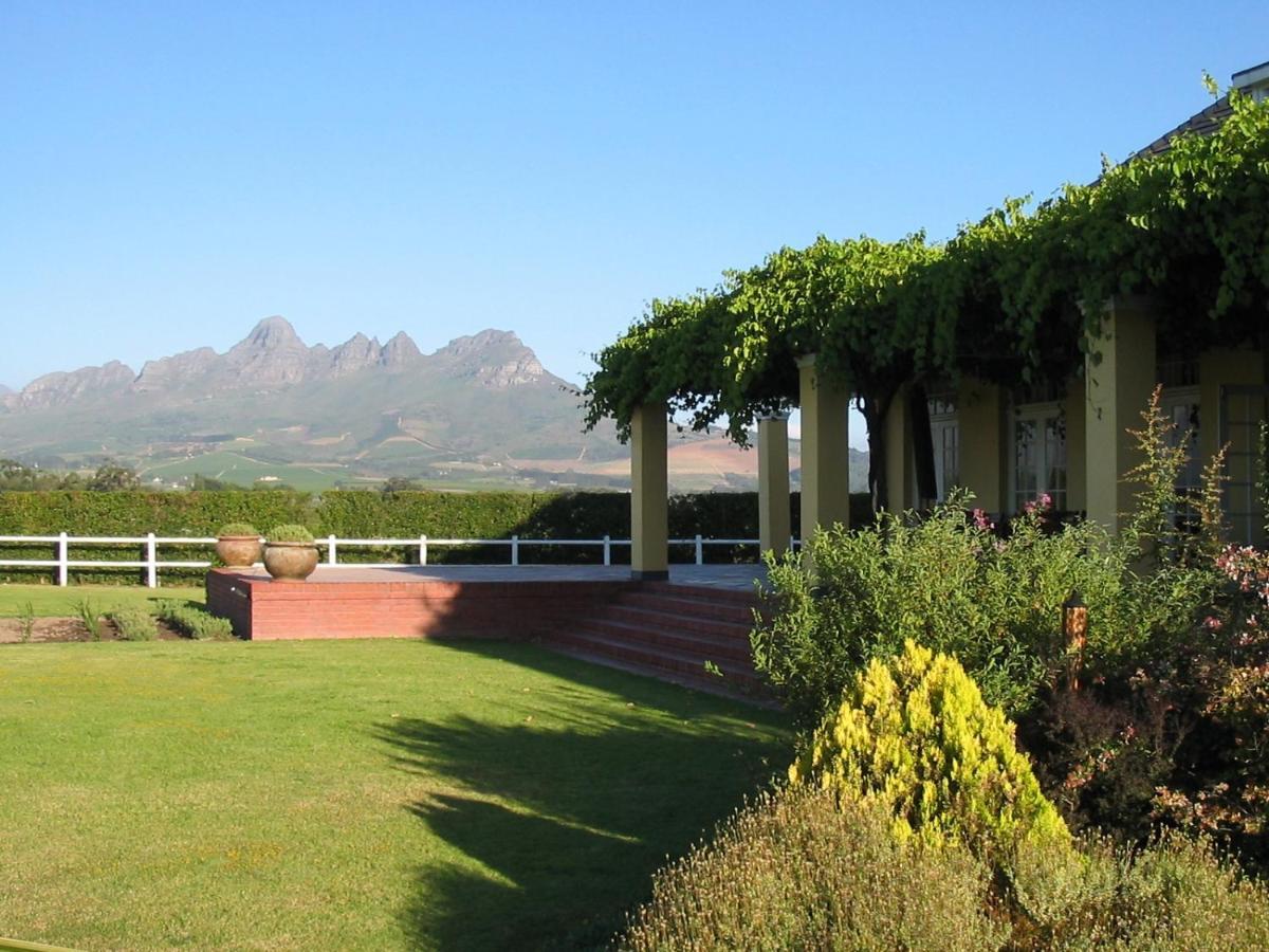 Lyngrove Wines & Guesthouse Stellenbosch Bagian luar foto